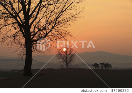 Anseong ranch, Anseong city, Gyeonggi 37360283