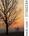 Anseong ranch, Anseong city, Gyeonggi 37360284