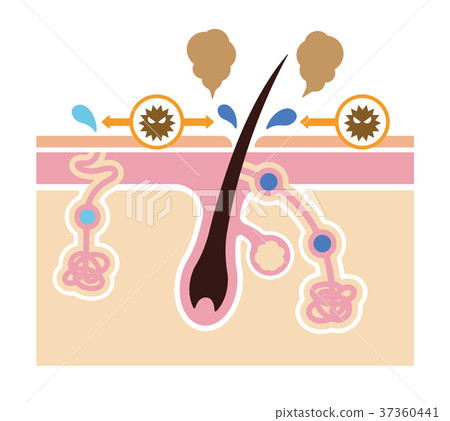 Illustration of the cause of the generation of odor caused by odor Illustration of the cause of the generation of odor caused by odor 37360441