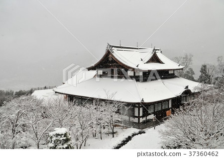 Kyoto General Tsukasa Blue Dragon Kyoto General Tsukasa Blue Dragon 37360462