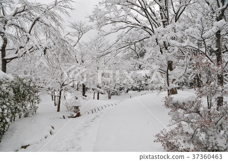 Kyoto General Tsukasa Blue Dragon 37360463