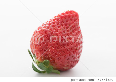 草莓草莓Amaou草莓 37361389