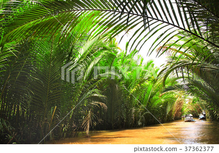 People boating in delta of Mekong river, Vietnam People boating in delta of Mekong river, Vietnam 37362377