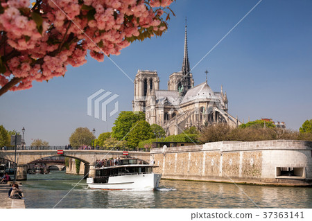 Paris, Notre Dame cathedral with boat in France 37363141