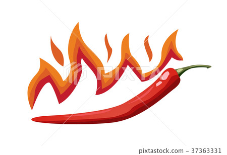 Hot chili pepper vector 37363331