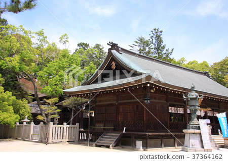 Izanagi Jingu Izanagi Jingu 37364162