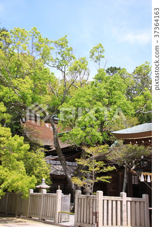 Izanagi Jingu Izanagi Jingu 37364163