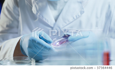 Laboratory worker conducting research testing 37364446