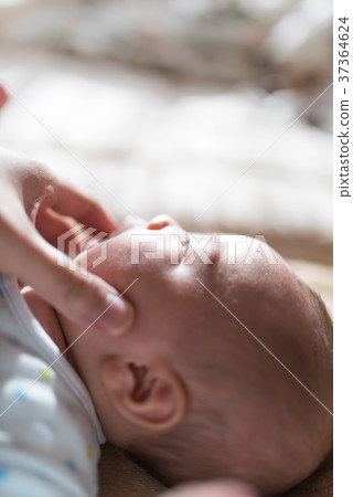 寶寶 37364624