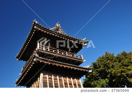 The park in the temple 37365049