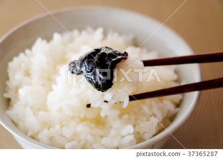 紫菜佃煮 37365287