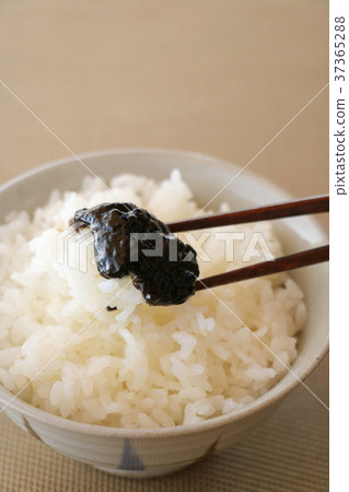 紫菜佃煮 37365288