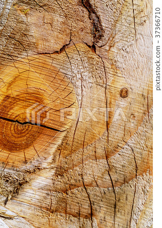 Wooden texture background. Wooden texture background. 37366710