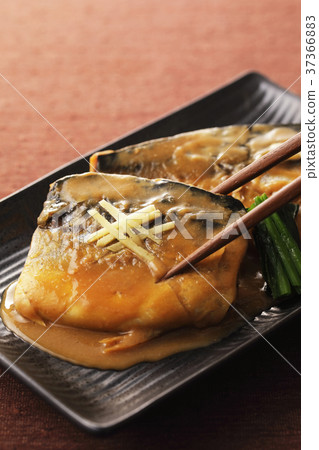 用鯖魚燜鯖魚 用鯖魚燜鯖魚 37366883