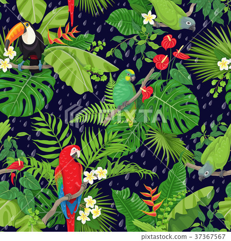Tropical Birds and Rain Drops Pattern 37367567