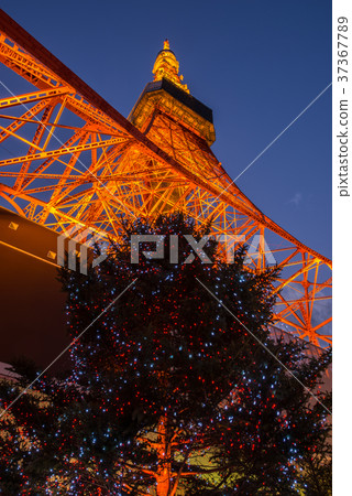 東京鐵塔夜景 37367789