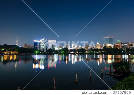 上野忍者池塘夜景 上野忍者池塘夜景 37367909