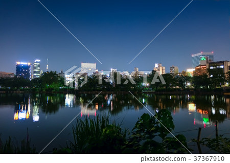 上野忍者池塘夜景 37367910