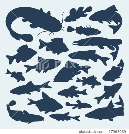 Vector silhouettes of river fish Vector silhouettes of river fish 37368089