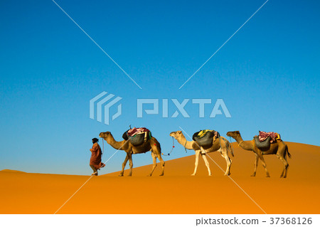 Desert caravan Desert caravan 37368126