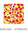 Maple pattern 37369191