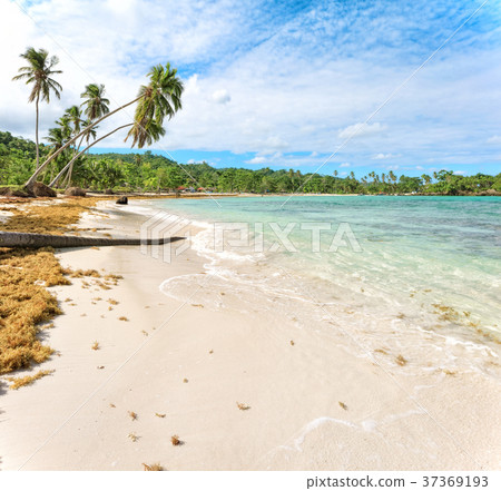 Vacation in Dominican Republic 37369193