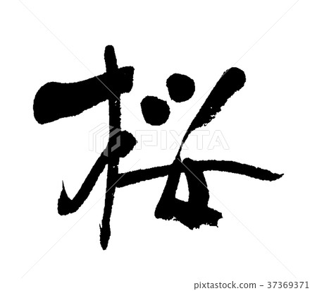 Cherry blossoms ④ 37369371