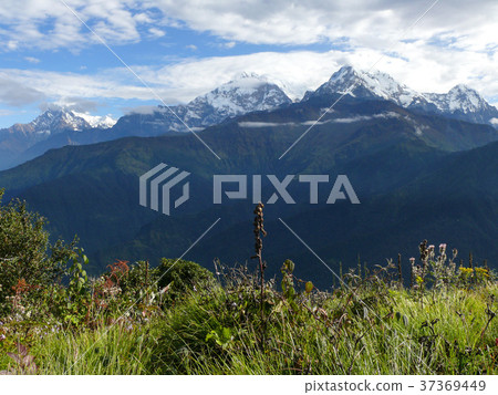 Annapurna range from Poon Hill, Nepal 37369449