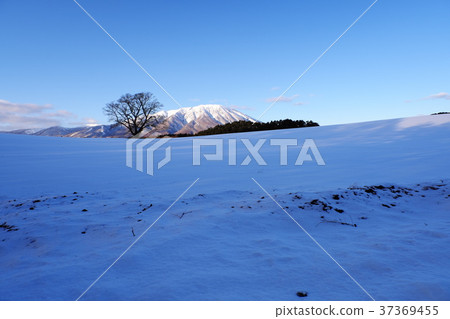 硬冬隕石 37369455