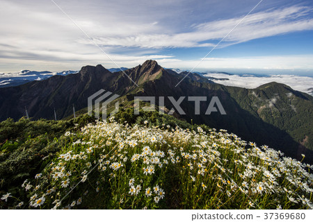 玉山北峰 37369680