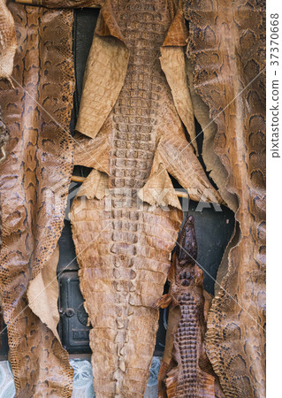 Crocodile skin Crocodile skin 37370668