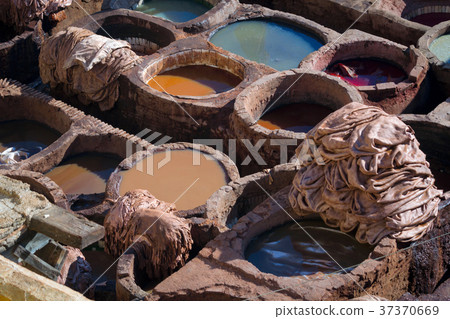 Tannery 37370669