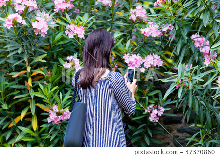 Young woman making image of flowers Young woman making image of flowers 37370860