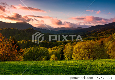 forested hill at cloudy sunset in springtime 37370994
