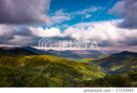 rolling hills of Carpathian mountains in spring rolling hills of Carpathian mountains in spring 37370995