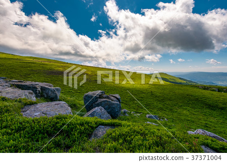 grassy meadows of Runa mountain grassy meadows of Runa mountain 37371004