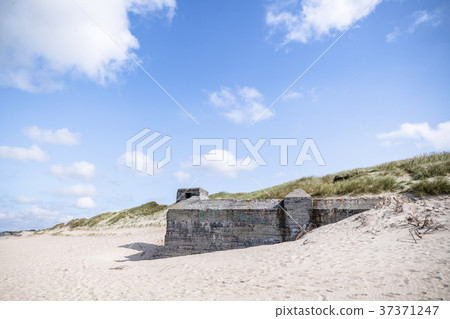 Dune on a beach with ruins of 2nd world war 37371247