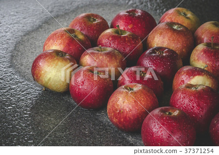 Wet apples on a granite rock in the rain Wet apples on a granite rock in the rain 37371254