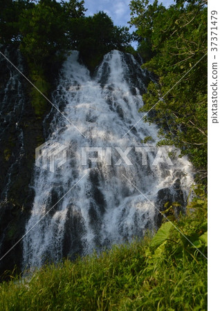 Oshinkoshin waterfall (Charasse nai river / estuary vicinity / Shari-cho, Shari-gun, Hokkaido) 37371479