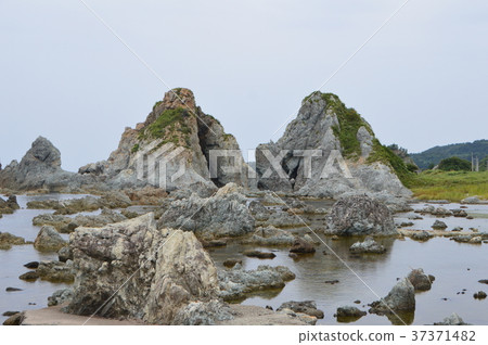 Nanaura海岸的“變質岩”（新潟縣佐渡市佐渡島/高瀨） 37371482