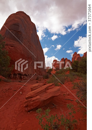 Red Desert Red Desert 37371664
