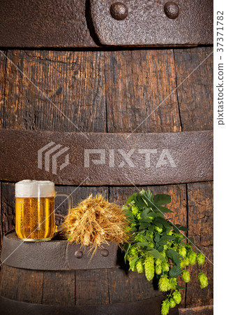 Glass of Beer with Hops and Barley on the Barrel 37371782
