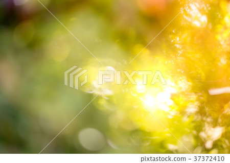 Green bokeh background. Blur blurred image of 37372410