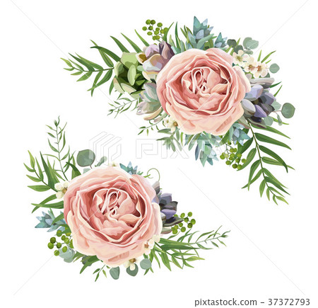 Vector floral bouquet design: garden purple rose 37372793