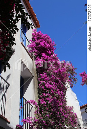 達利喜愛的卡達克斯市 37372905