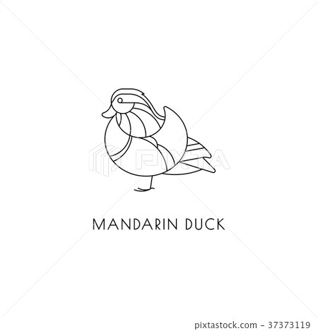 Mandarin duck outline icon 37373119