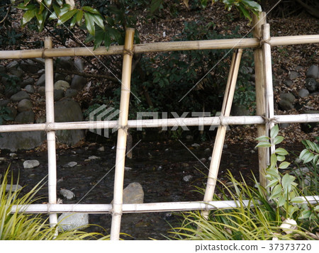 Mom Shimomizu (57 best spring in Tokyo) 37373720