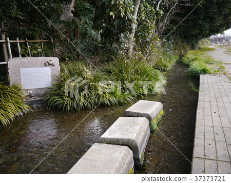 Mom Shimomizu (57 best spring in Tokyo) 37373721