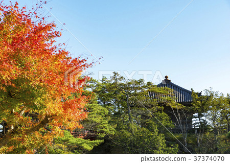 Japan Three Views, Autumn leaves and Five Great Halls 37374070