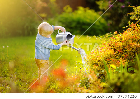 Cute toddler boy watering plants in the garden at summer sunny day Cute toddler boy watering plants in the garden at summer sunny day 37374220